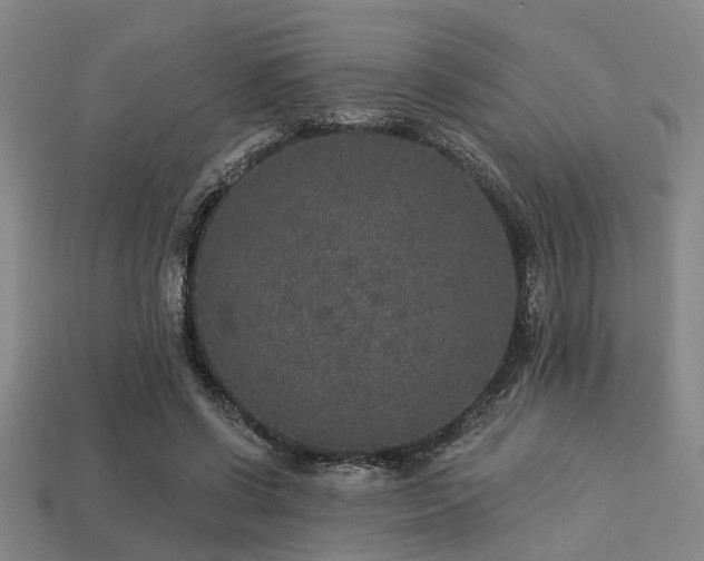 X0000113280542200909141227