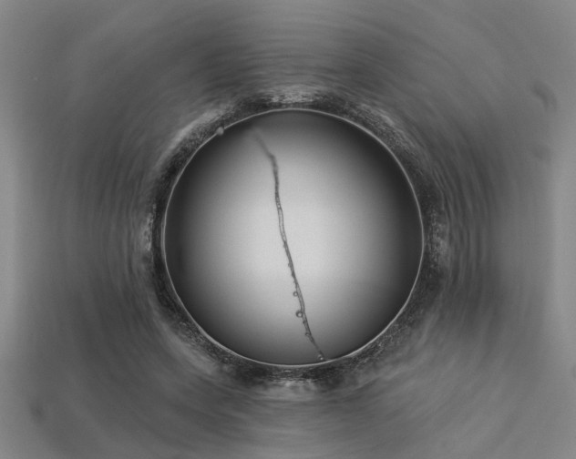 X0000113280543200909141227