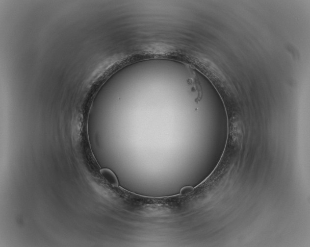 X0000113280544200909141227