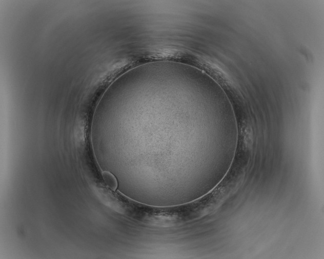 X0000113280546200909141227