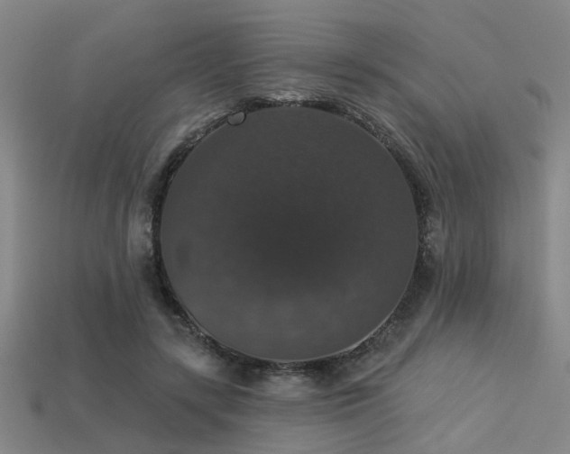 X0000113280547200909141227