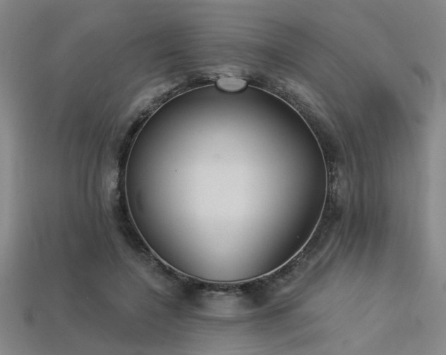 X0000113280548200909141227