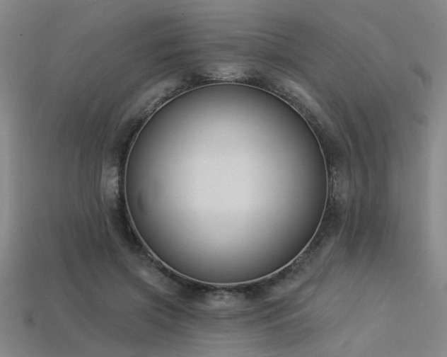 X0000113280549200909141227