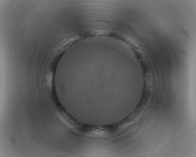 X0000113280550200909141227