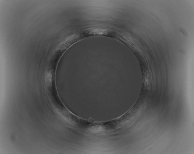 X0000113280551200909141227