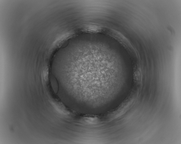 X0000113280552200909141227