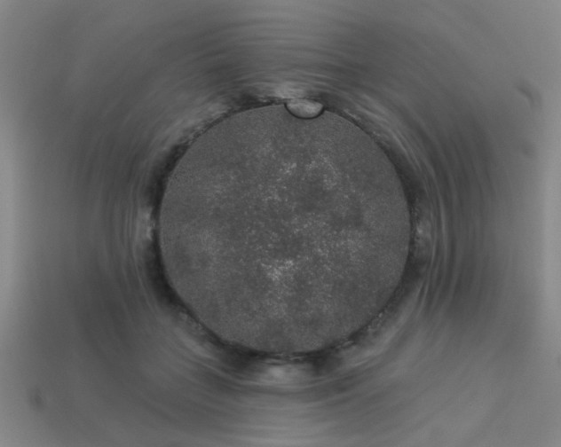 X0000113280555200909141227