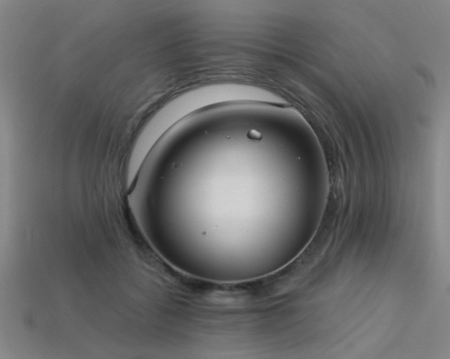 X0000113280556200909141227