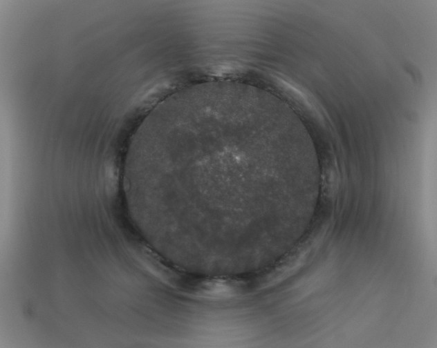 X0000113280558200909141227