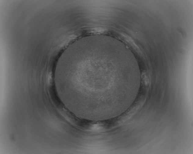 X0000113280564200909141227