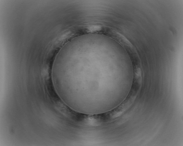 X0000113280565200909141227