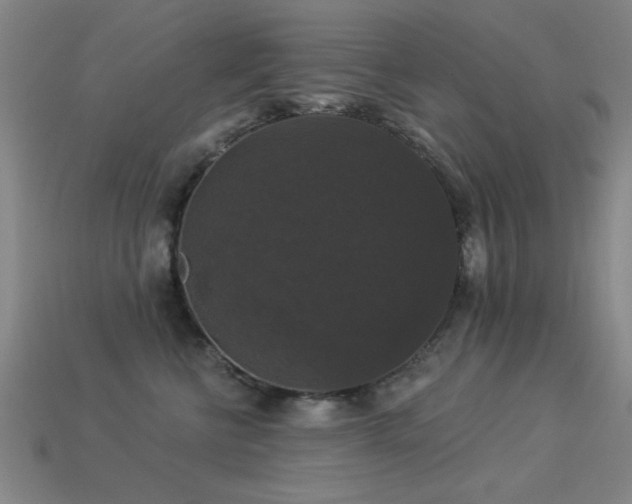 X0000113280570200909141227