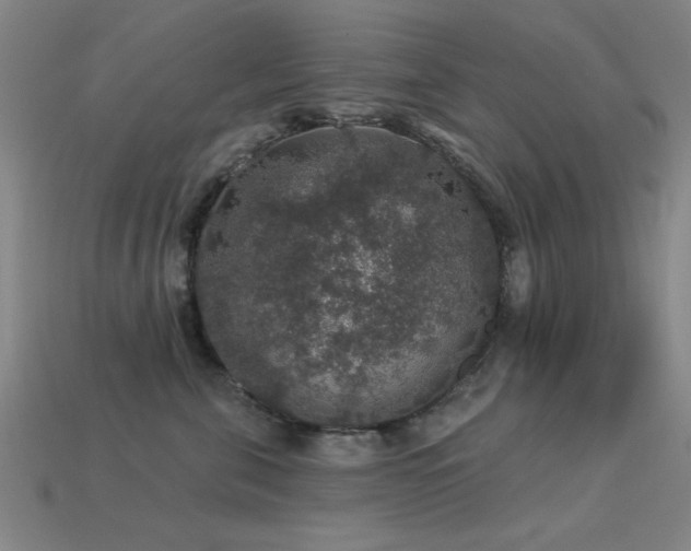 X0000113280571200909141227