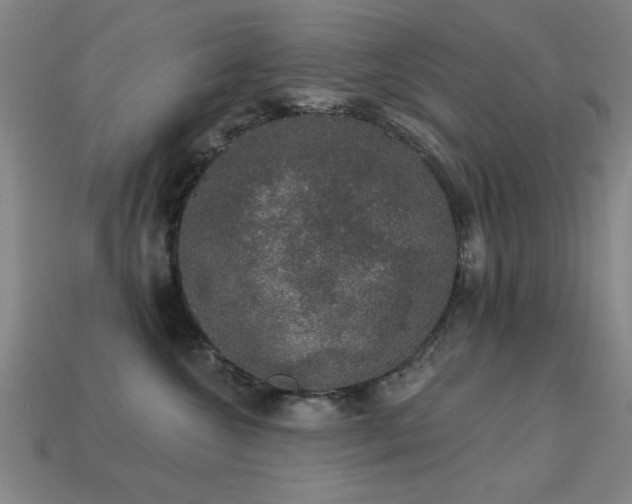 X0000113280572200909141227