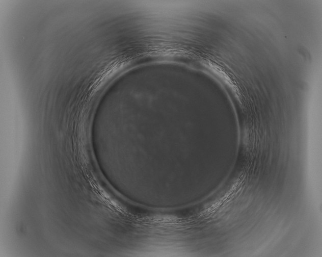 X0000113280577200909141227