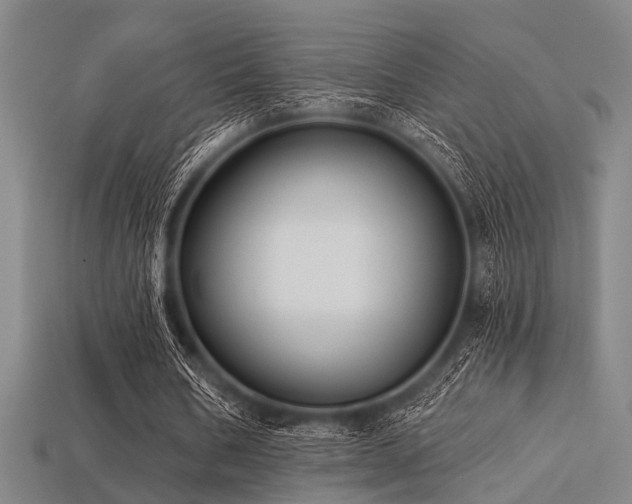 X0000113280578200909141227