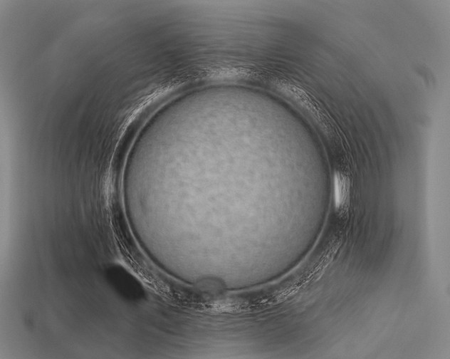 X0000113280579200909141227