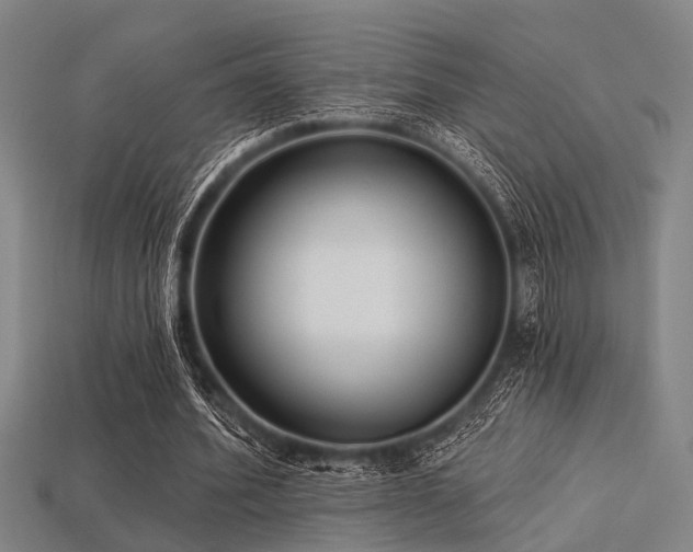 X0000113280580200909141227