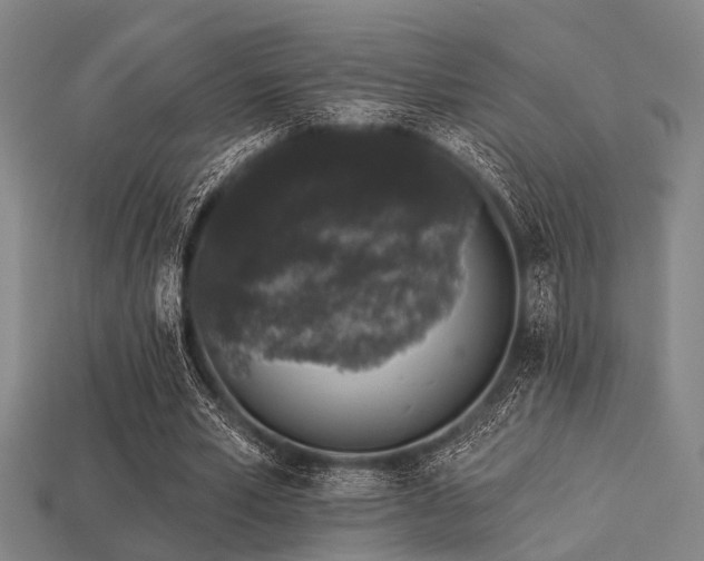 X0000113280581200909141227