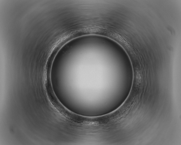 X0000113280582200909141227