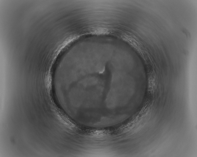 X0000113280584200909141227