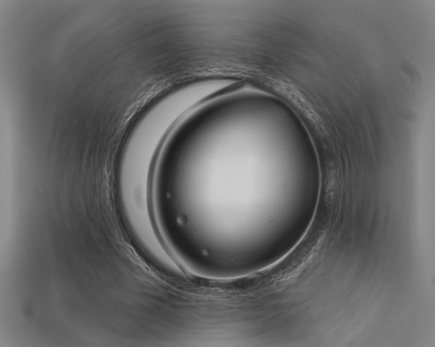 X0000113280585200909141227