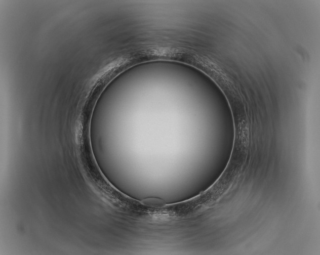 X0000113280587200909141227