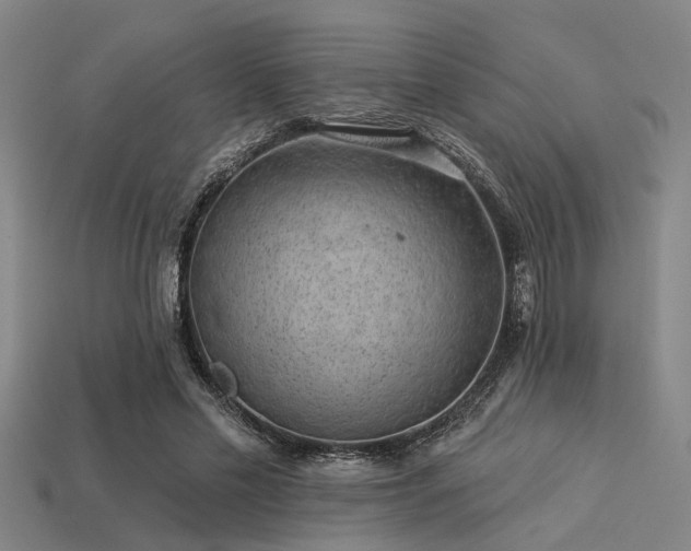 X0000113280589200909141227