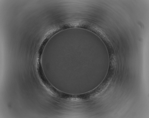 X0000113280590200909141227