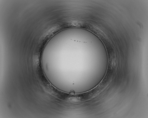 X0000113280595200909141227