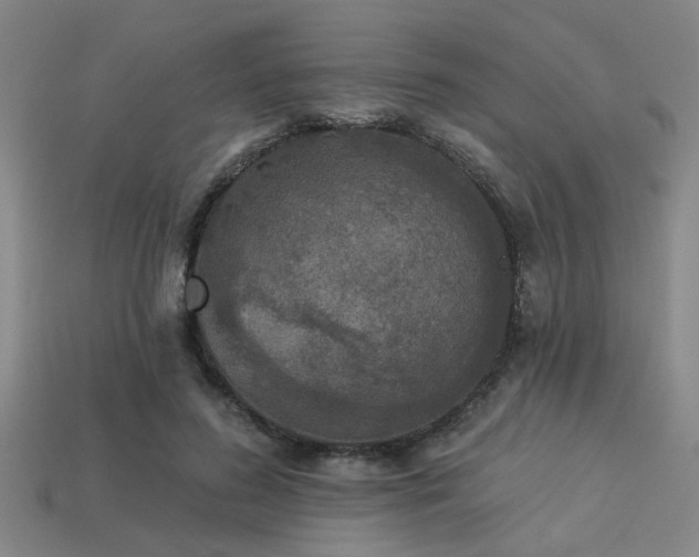 X0000113280596200909141227