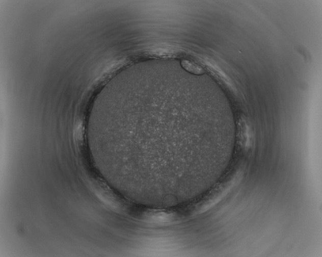 X0000113280597200909141227