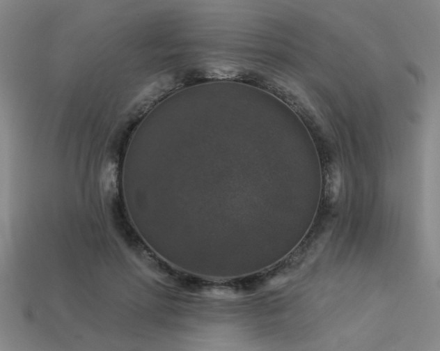 X0000113280598200909141227