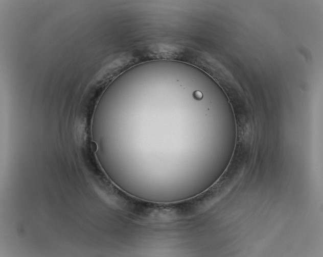 X0000113280599200909141227