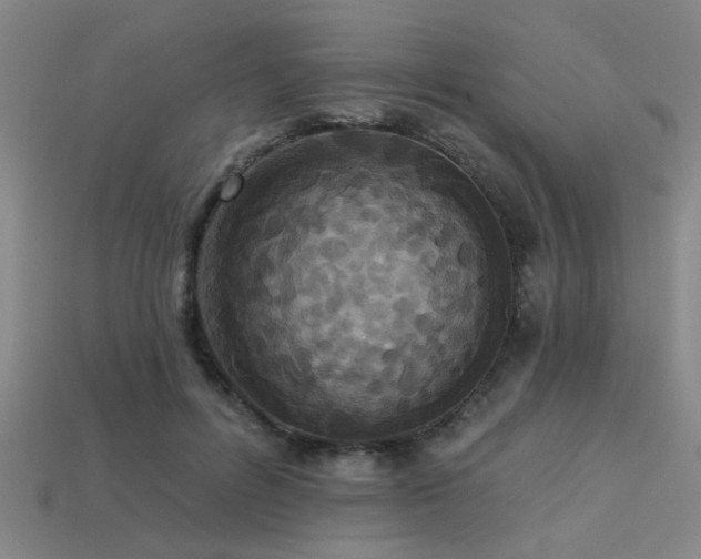 X0000113280600200909141227