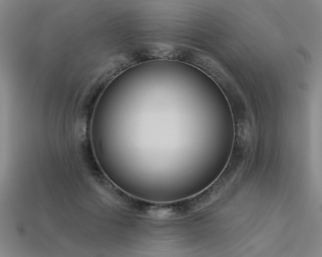 X0000113280602200909141227