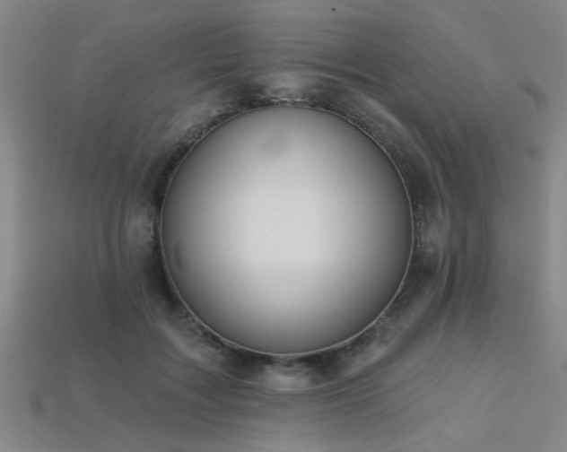 X0000113280603200909141227