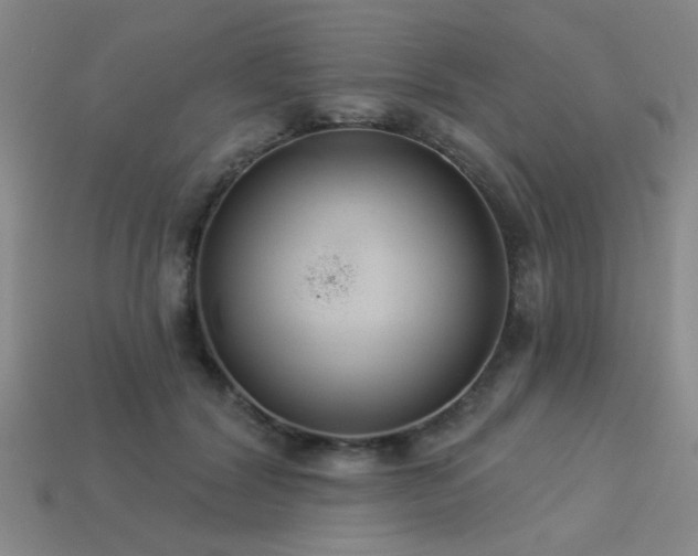 X0000113280604200909141227