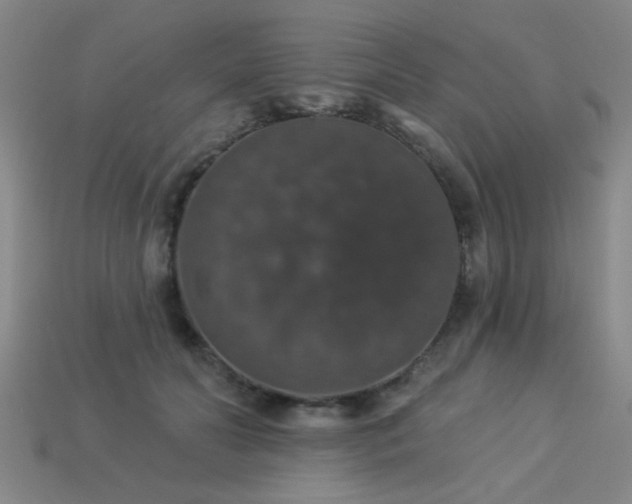 X0000113280606200909141227