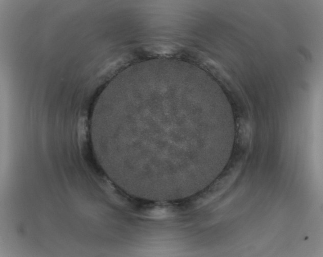 X0000113280612200909141226