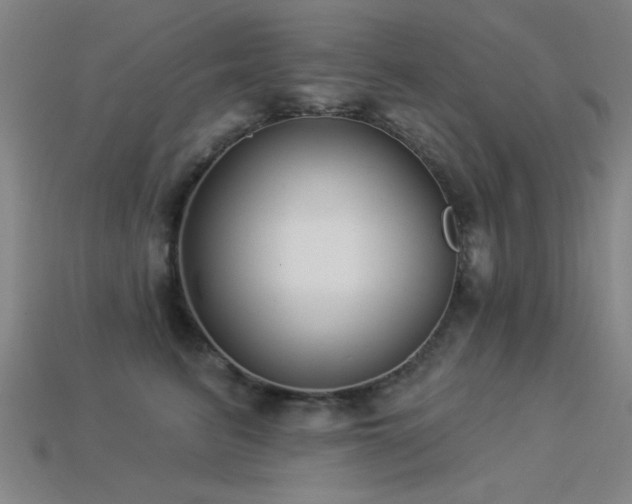 X0000113280615200909141226