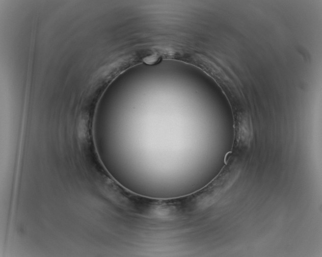 X0000113280616200909141226