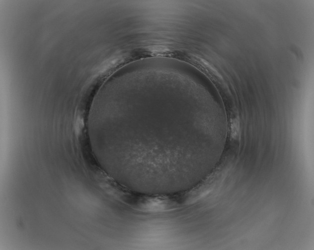 X0000113280618200909141226