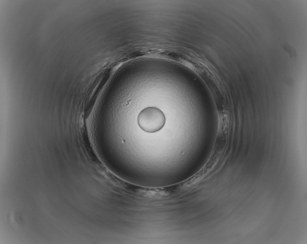 X0000113280621200909141226