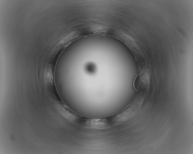 X0000113280622200909141226