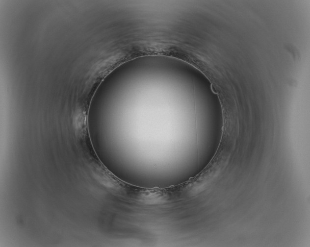 X0000113280624200909141226