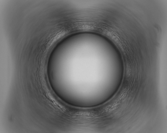 X0000113280625200909141226