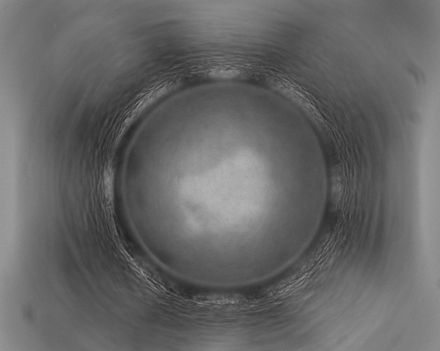 X0000113280626200909141226