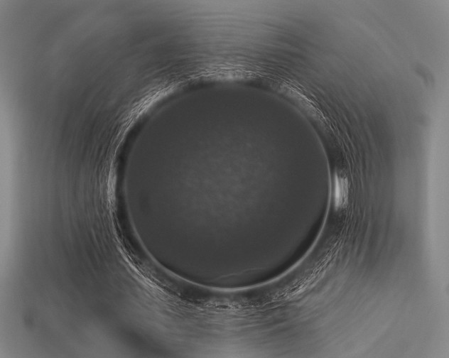 X0000113280627200909141226