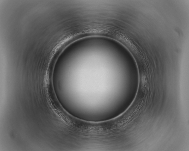 X0000113280628200909141226